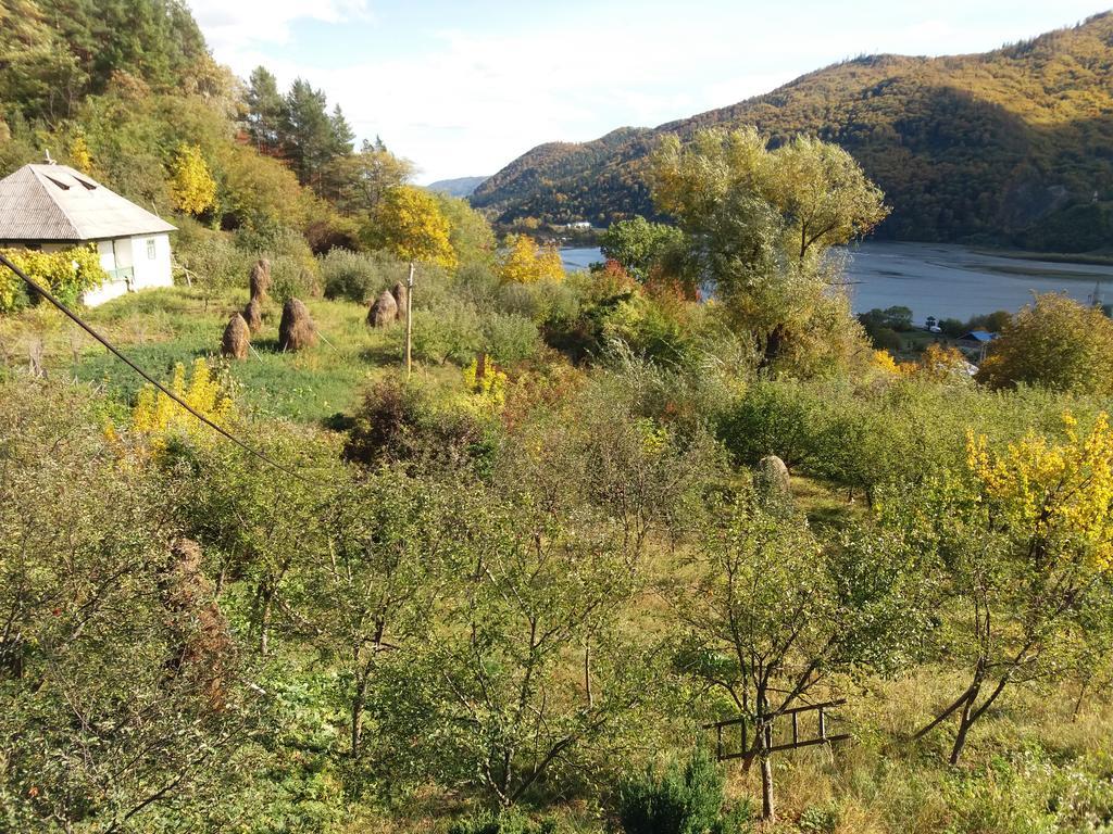 Casa Irina Βίλα Πιάτρα Νέαμτς Εξωτερικό φωτογραφία