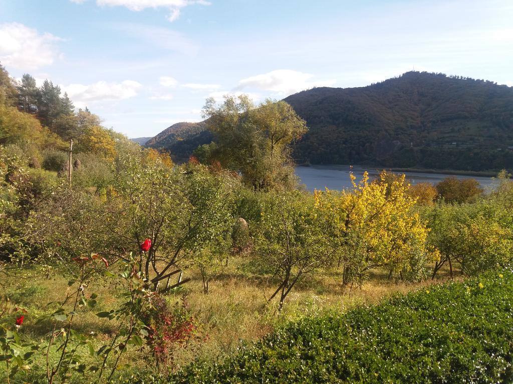 Casa Irina Βίλα Πιάτρα Νέαμτς Εξωτερικό φωτογραφία