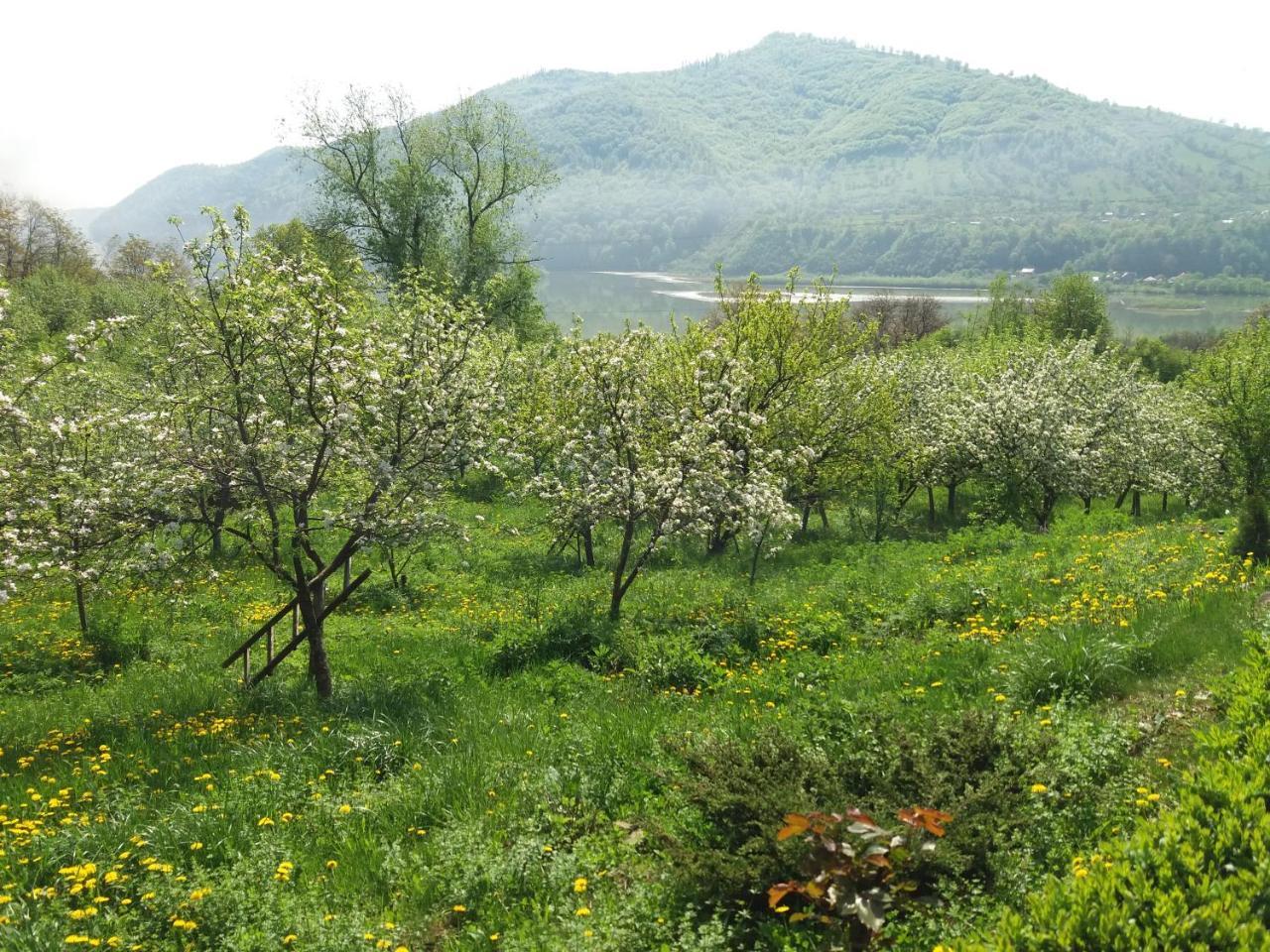 Casa Irina Βίλα Πιάτρα Νέαμτς Εξωτερικό φωτογραφία